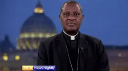 Antoine Cardinal Kambanda during an interview with EWTN News on 28 November 2020. Credit: EWTN News
