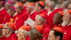 Cardinals celebrate the Novendiales Masses on the fourth day of mourning for Pope Francis on April 29, 2025, in St. Peter’s Basilica at the Vatican. / Credit: Daniel Ibañez/CNA