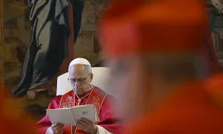 Pope Leo XIV presides over the first ordinary public consistory of cardinals of his pontificate on June 13, 2025, at the Apostolic Palace in the Vatican. / Credit: Vatican Media